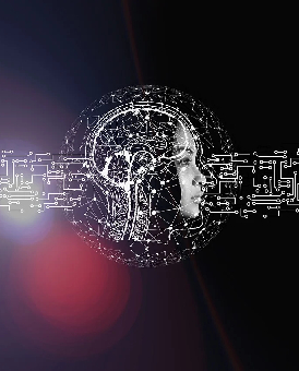 Dijital Vicdan Sistemi – Anonim Etik Bildirim Ağı