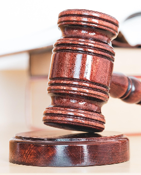 Gerçeklik Koruma Anayasası