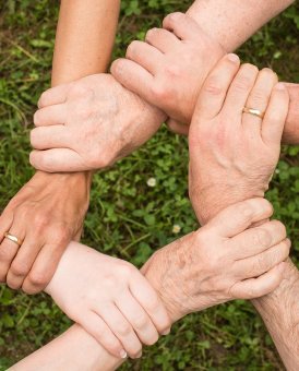 “Kurumsal Karar Radyolojisi” – Kararların İç Görü Analizi